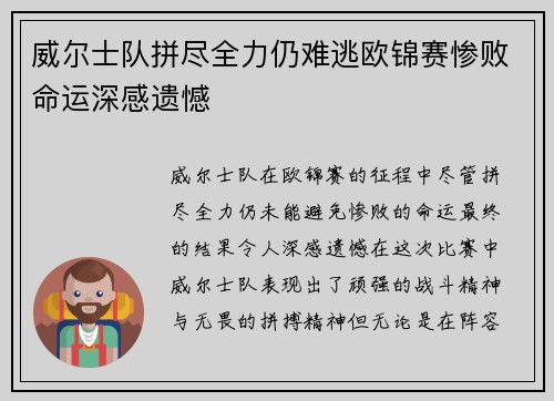 威尔士队拼尽全力仍难逃欧锦赛惨败命运深感遗憾